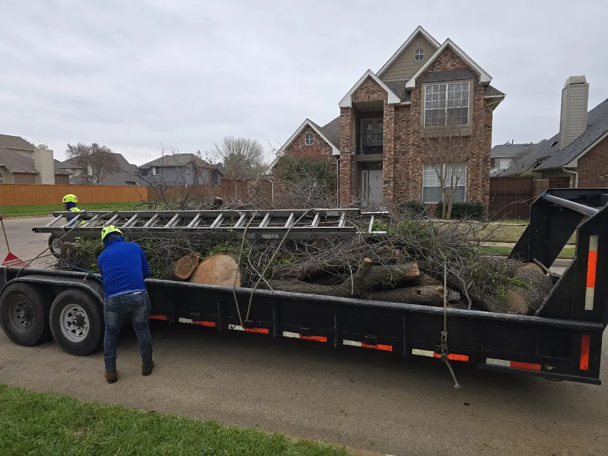 Expert Lot Clearing with proper safety equipment in Abilene